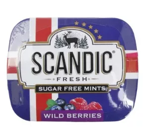 Драже SCANDIC "Лесные ягоды" без сахара 14 г